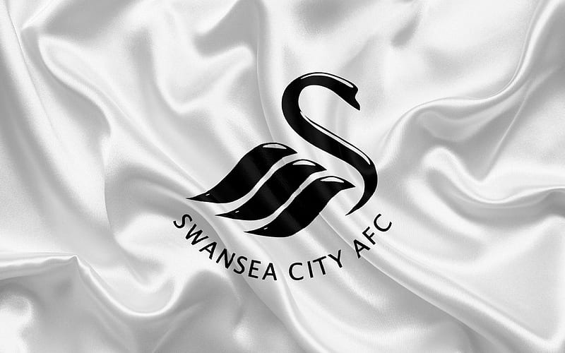 Swansea FC: Những Mùa Giải Vàng Son và Dấu Ấn Lịch Sử Trên Sân Cỏ
